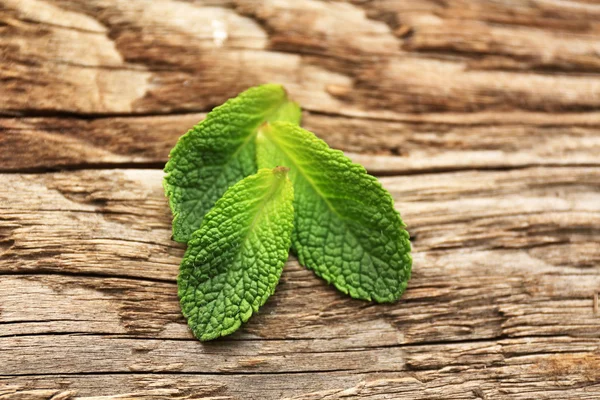 Fresh mint leaves — Stock Photo, Image