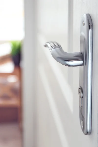 Door with silver door-handle — Stock Photo, Image