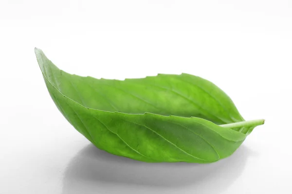 Fresh basil leaf — Stock Photo, Image