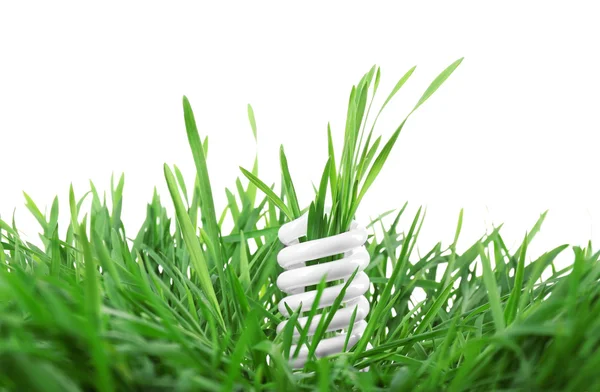 Żarówka w zielonej trawie — Zdjęcie stockowe