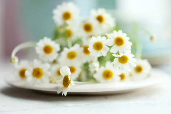 Bouquet of fresh chamomiles — Stock Photo, Image