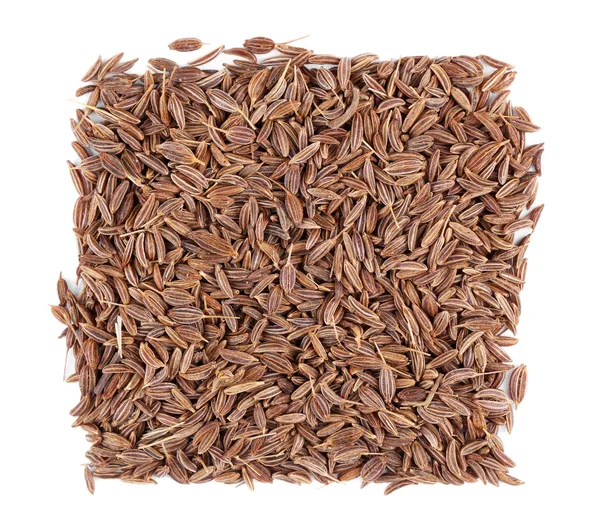 Square of cumin seeds — Stock Photo, Image