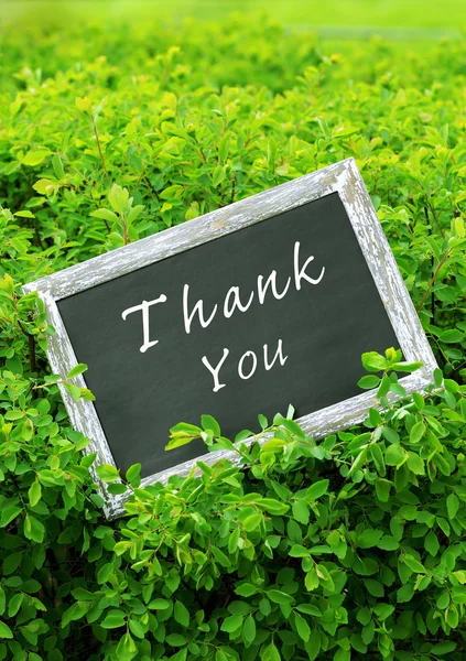 Text Thank You — Stock Photo, Image