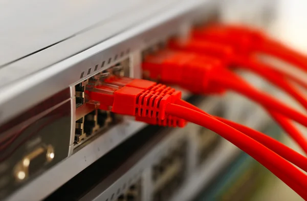 Τα καλώδια Ethernet που συνδέονται — Φωτογραφία Αρχείου