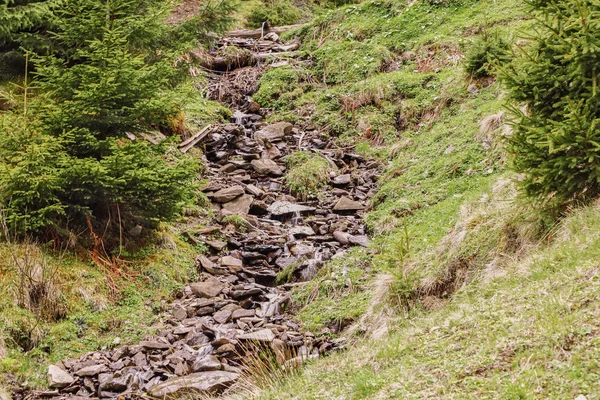 Mountain stream flowing