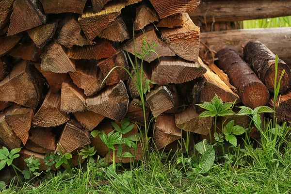 Vedstapel för vintern — Stockfoto