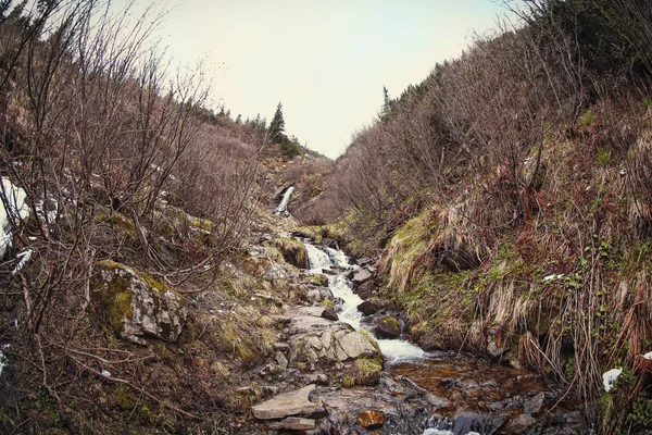 Гірський потік тече — стокове фото
