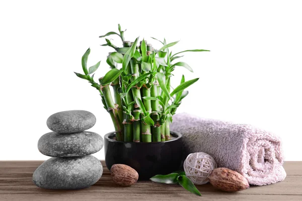 Spa sammansättning med bambu — Stockfoto