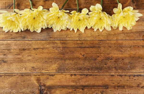 Crisantemo amarillo en la mesa —  Fotos de Stock