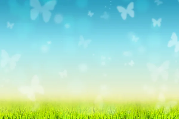 Butterflies nature background — Stock Photo, Image