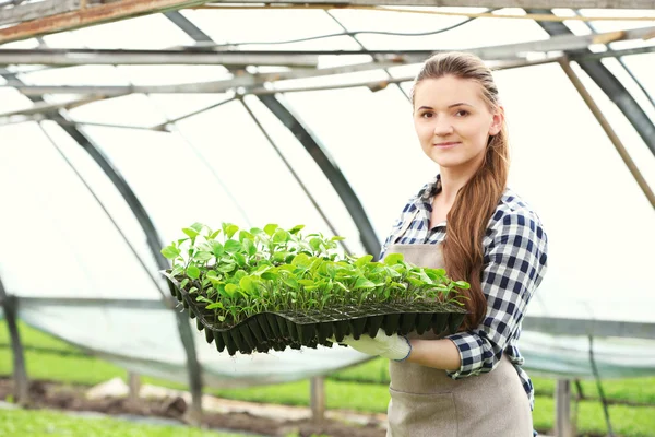 Working female farmer — Stock Photo, Image