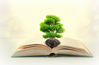 Yeşil ağaç ile rezervasyon yaptırın 