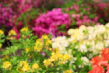 Renkli çiçek çiçek yatak 