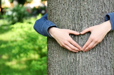 Eller ağaç sarılma