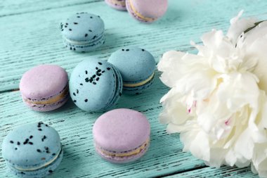 Güzel peonies ile lezzetli macaroons 