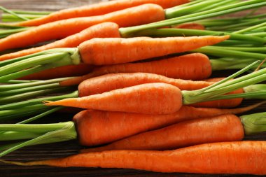 Birçok havuç, portre