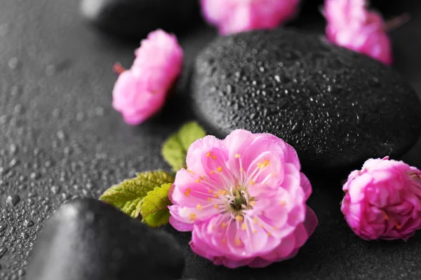 Spa stones and pink flowers — Stock Photo, Image