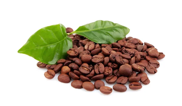 Coffee beans and green leaves — Stock Photo, Image