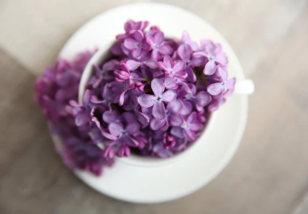 Lila lila blommor i en kopp — Stockfoto