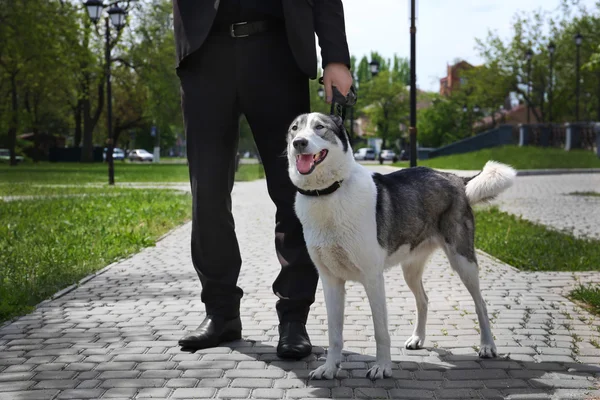 Master ile oynayan köpek — Stok fotoğraf