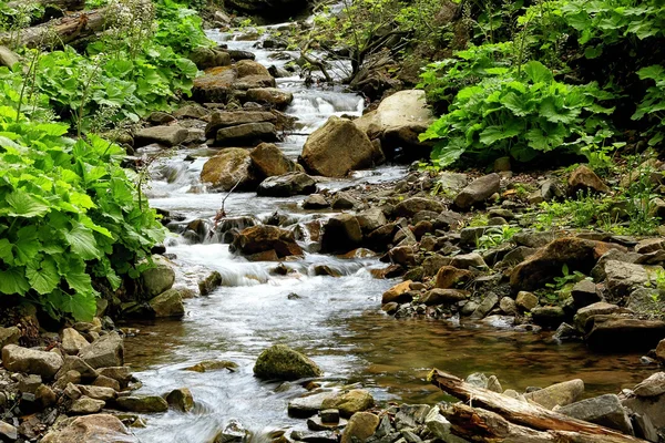 Чудові гірські річки — стокове фото