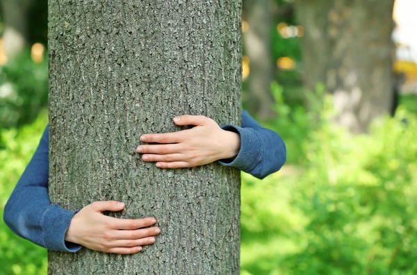 Female hands hugging tree — Stock Photo, Image