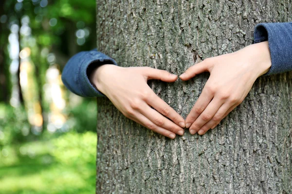 Kvinnliga händerna kramar träd — Stockfoto