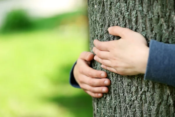 Mani femminili che abbracciano albero — Foto Stock