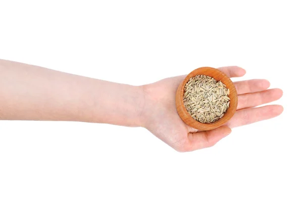 Tazón de mano con semillas de hinojo —  Fotos de Stock
