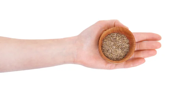 Hand holding bowl with cumin seeds — Stock Photo, Image