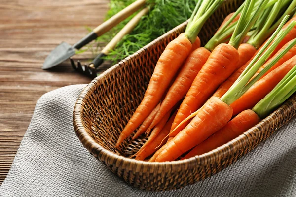 Zanahorias en canasta de mimbre — Foto de Stock