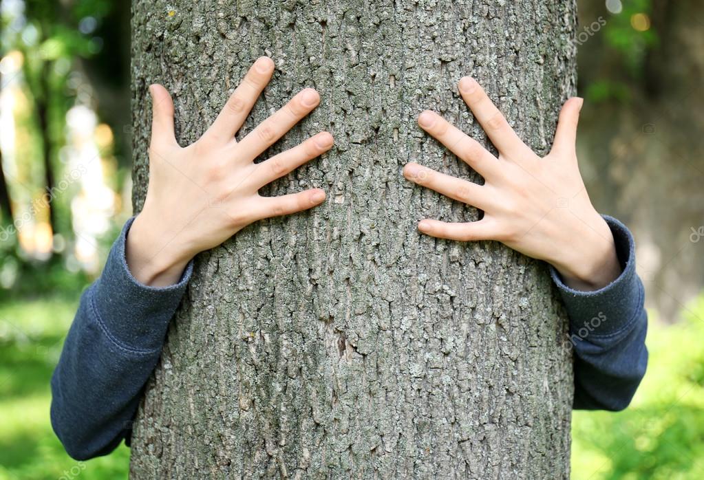 Female hands hugging tree Stock Photo by ©belchonock 114906564