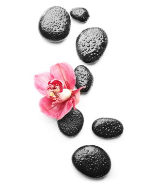 Spa taşlar ve güzel pembe orkide 