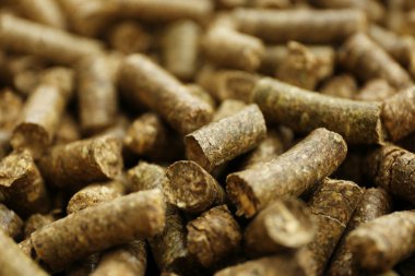 Katı ahşap granül