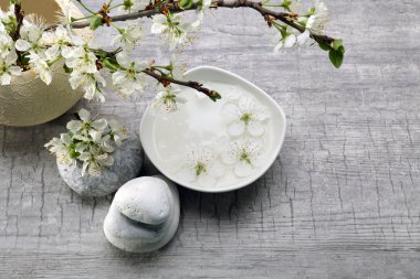 Kaplıca tedavisi ile çiçek şube 