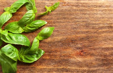 taze fesleğen yaprağı 