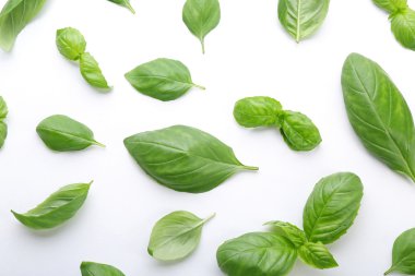 taze fesleğen yaprağı 