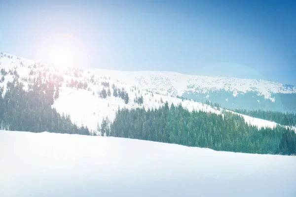 Карпатські гори в зимовий час — стокове фото