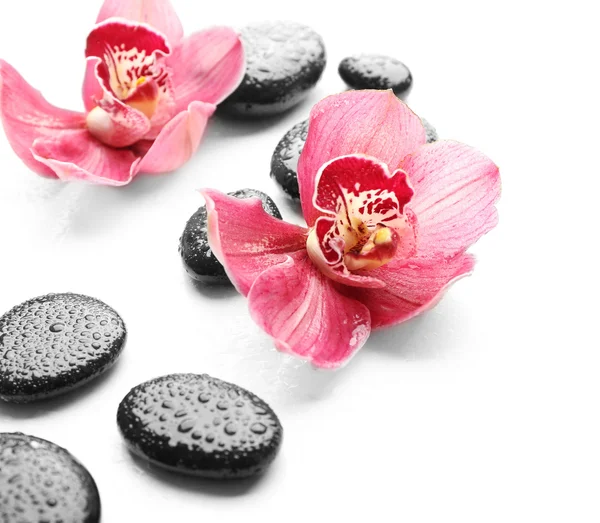 Wellness-Steine und schöne rosa Orchideen — Stockfoto