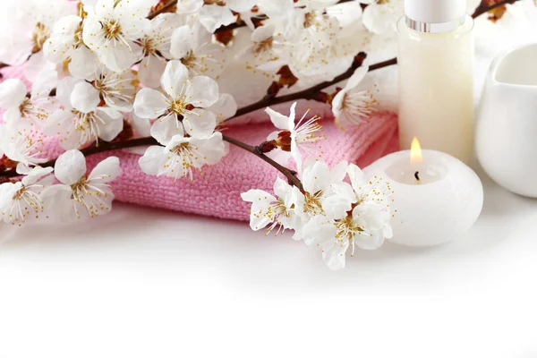 Spa composition with blooming branch — Stock Photo, Image