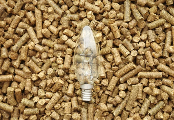 Лампочка на твердых деревянных гранулах — стоковое фото