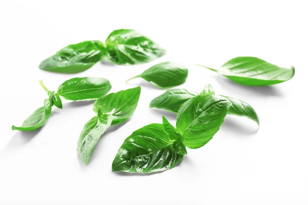 Fresh basil leaves — Stock Photo, Image