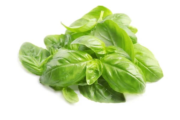 Fresh basil leaves — Stock Photo, Image