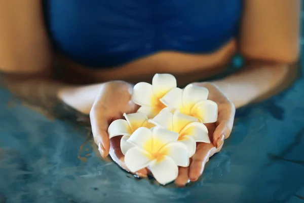 Manos femeninas con plumeria —  Fotos de Stock