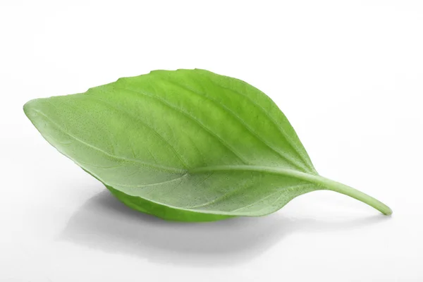 Fresh basil leaf — Stock Photo, Image