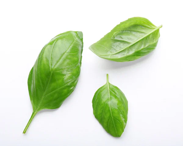 Fresh basil leaves — Stock Photo, Image