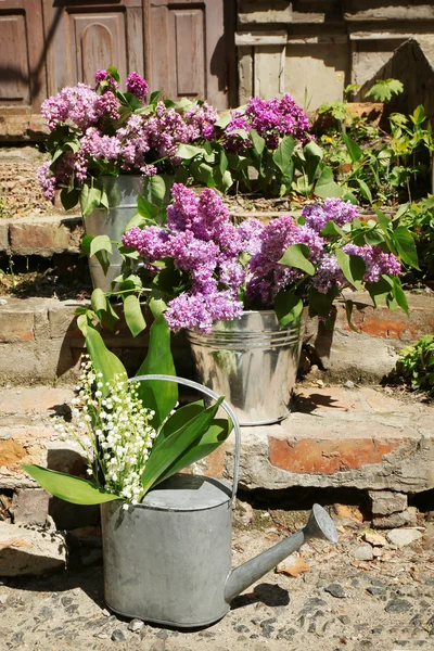 Bouquets of spring flowers — Stock Photo, Image