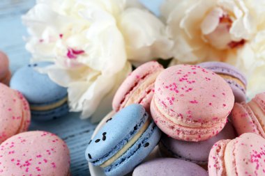 Güzel peonies ile lezzetli macaroons 