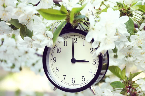 Reloj despertador en ramas de primavera —  Fotos de Stock