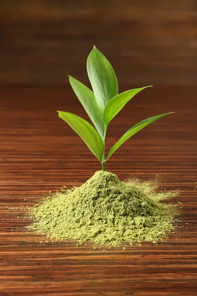 Tè verde matcha in polvere — Foto Stock